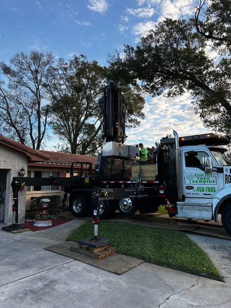 Affordable lawn mowing service in Saint Petersburg, FL by A Low Cost Tree Service