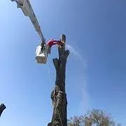 Custom garden landscaping in Saint Petersburg, FL by A Low Cost Tree Service