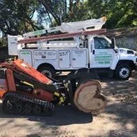 Affordable lawn care service in Saint Petersburg, FL by A Low Cost Tree Service