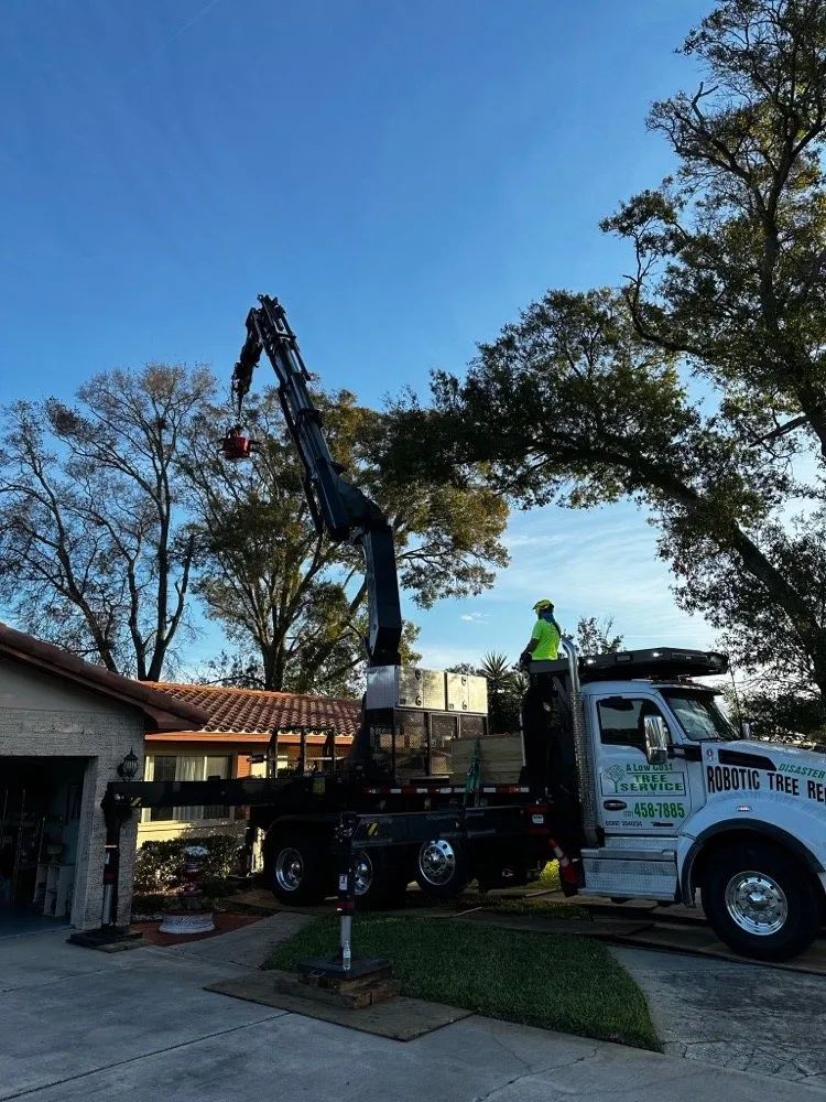 Custom garden landscaping for residential properties across Saint Petersburg, FL - A Low Cost Tree Service