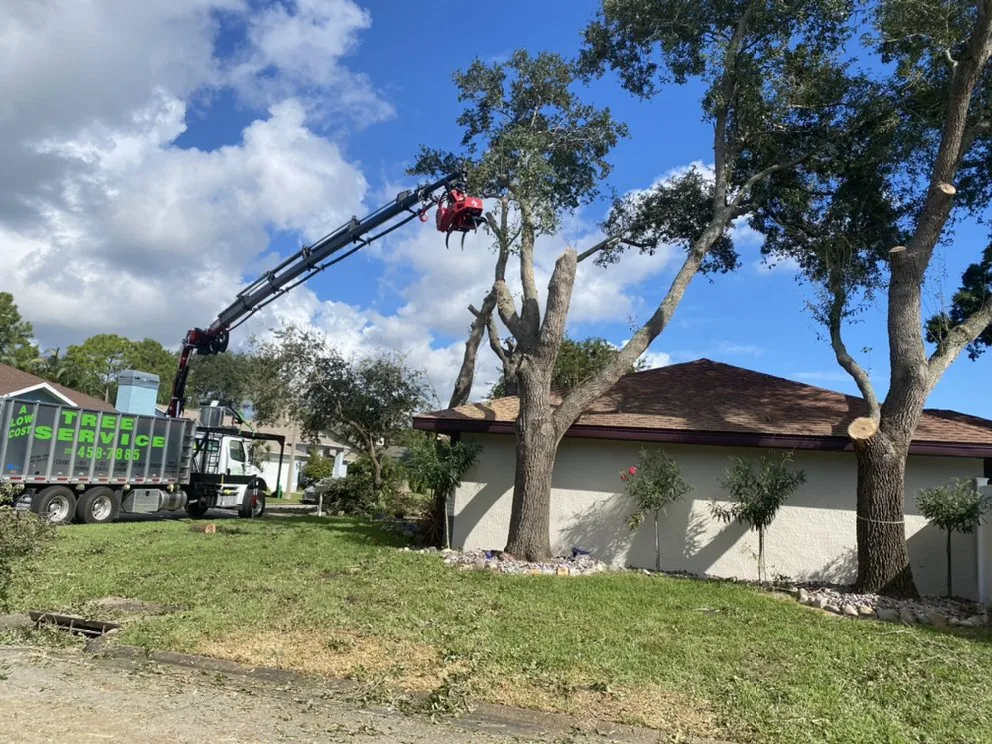 Professional landscape design in Saint Petersburg, FL by A Low Cost Tree Service