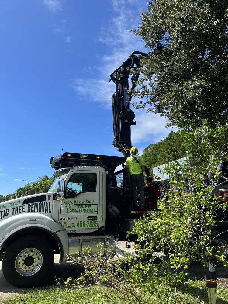 Custom garden landscaping in Saint Petersburg, FL - A Low Cost Tree Service