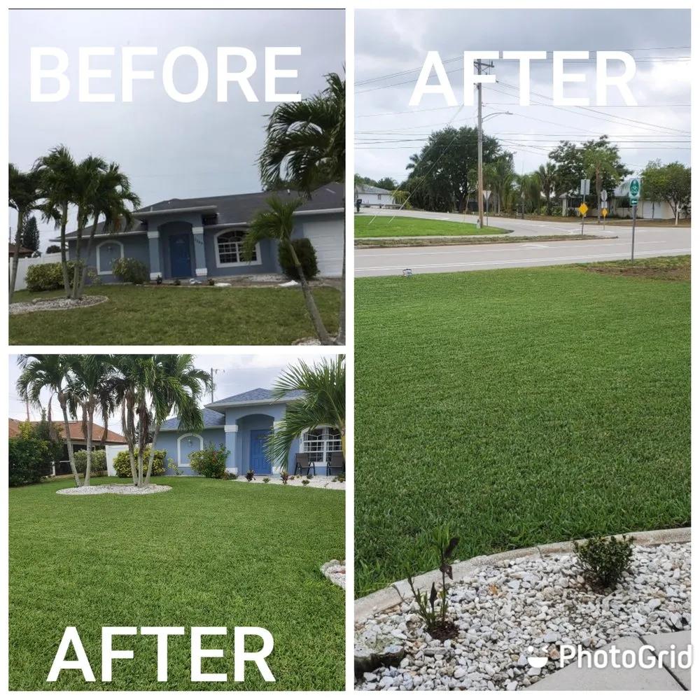 Trusted yard cleanup service experts serving Cape Coral, FL - A Lucky Touch Lawn & Pest Control