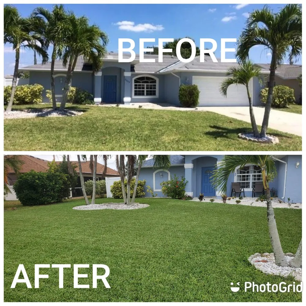 Affordable landscaping services in Cape Coral, FL by A Lucky Touch Lawn & Pest Control