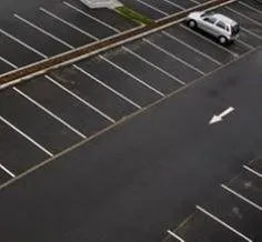 Local yard cleanup service for beautiful yards in Danbury, CT by A Luis & Son