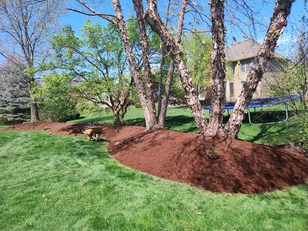 Local yard maintenance in Carpentersville, IL - A M G Landscape & Construction