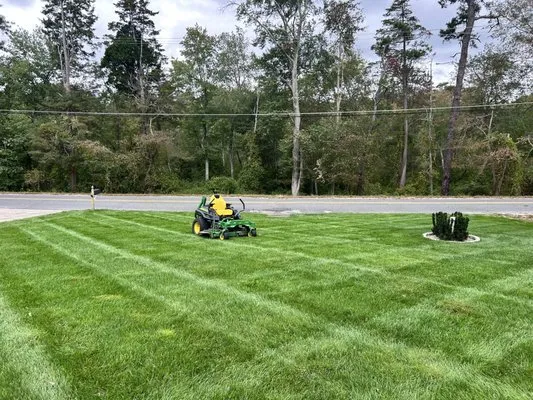 A M Lawn Care