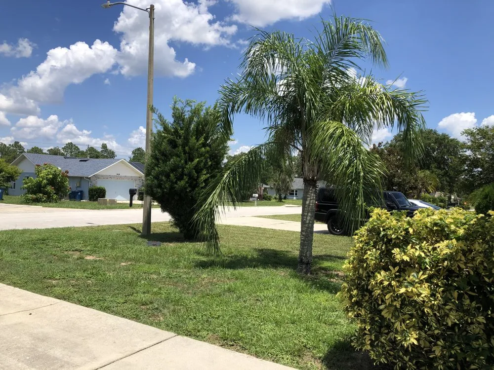 Custom residential landscaping for homes across Winter Haven, FL - A M Lawn Care Service