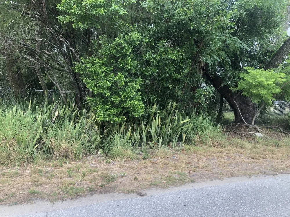 Professional landscape installation experts serving Winter Haven, FL - A M Lawn Care Service