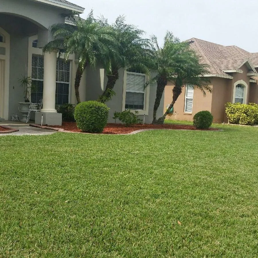 Reliable yard cleanup service in Winter Haven, FL - A M Lawn Care Service