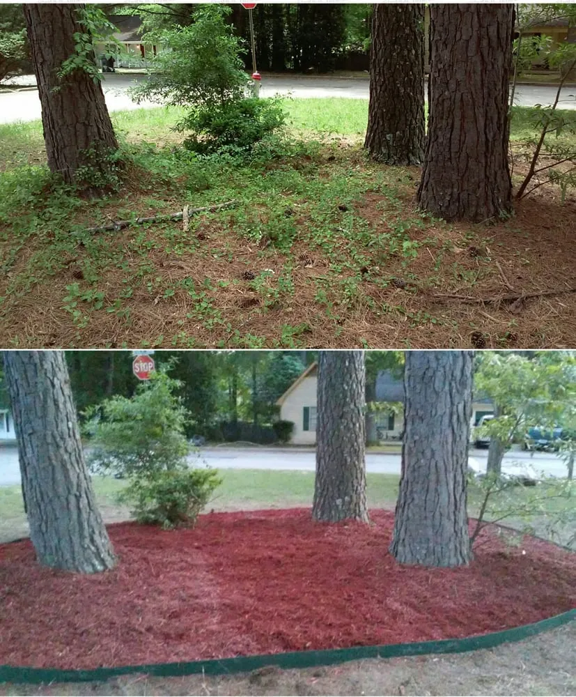 Professional landscape design in McDonough, GA - A M Outdoor Services