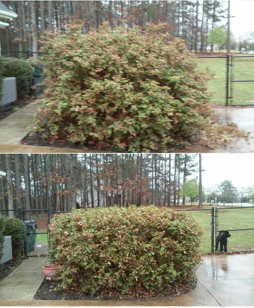 Expert landscape design in McDonough, GA by A M Outdoor Services