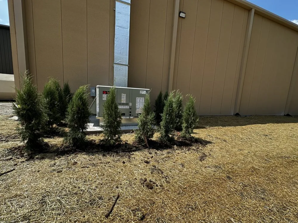 Professional landscape installation in Kansas City, KS by A M S Landscaping & Snow Removal