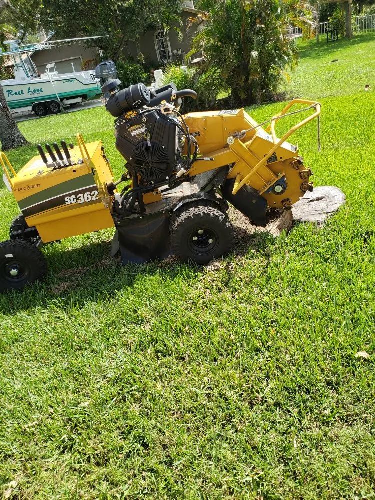 Trusted landscape design in Fort Lauderdale, FL by A M Trimming and Removal Service