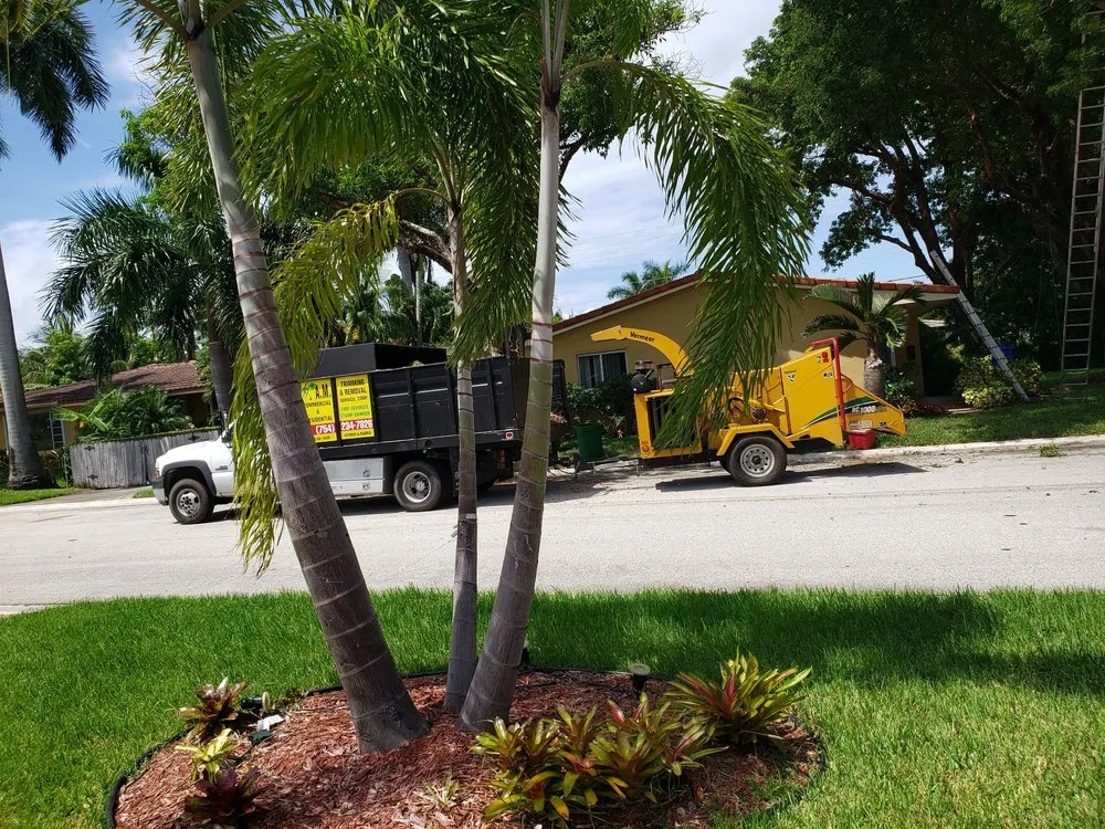 Custom lawn mowing service in Fort Lauderdale, FL - A M Trimming and Removal Service