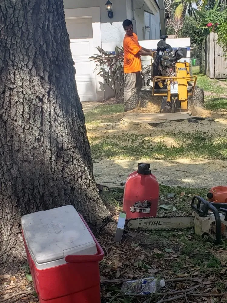 Custom garden landscaping in Fort Lauderdale, FL - A M Trimming and Removal Service