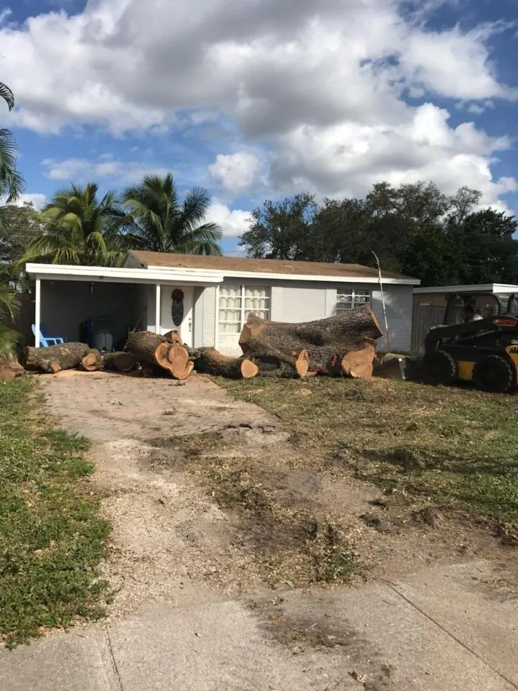 Trusted landscape installation in Fort Lauderdale, FL - A M Trimming and Removal Service