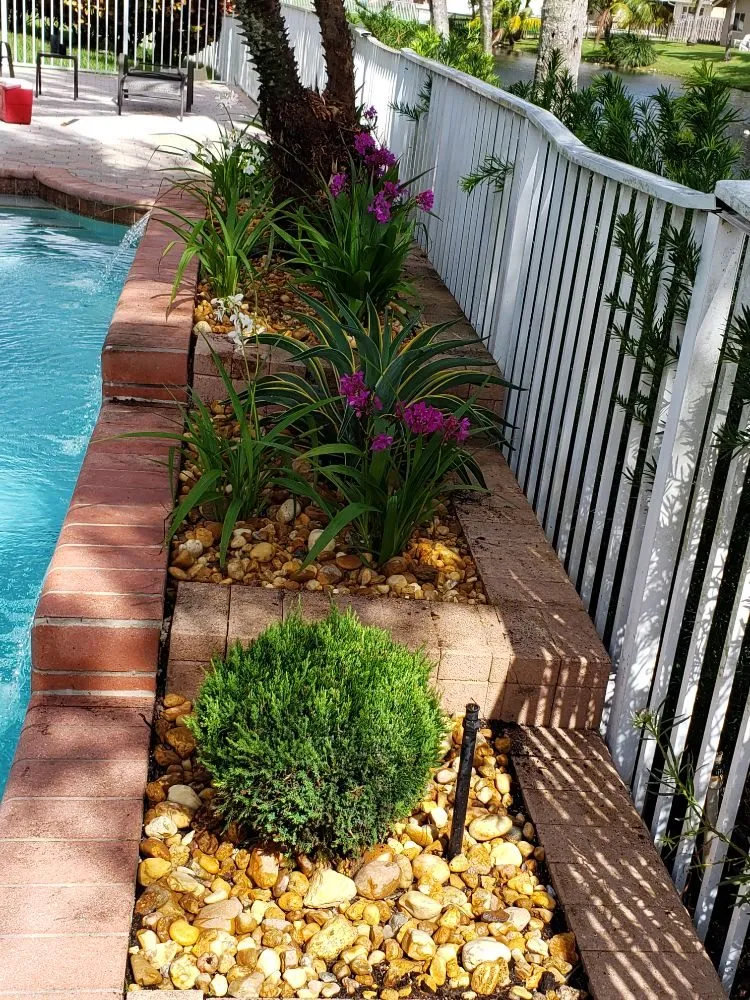 Reliable yard maintenance experts serving Fort Lauderdale, FL - A M Trimming and Removal Service