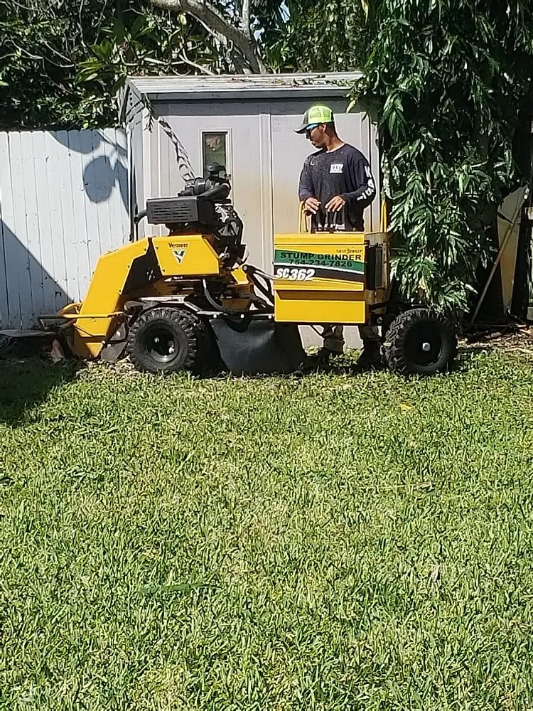 Trusted lawn mowing service in Fort Lauderdale, FL by A M Trimming and Removal Service