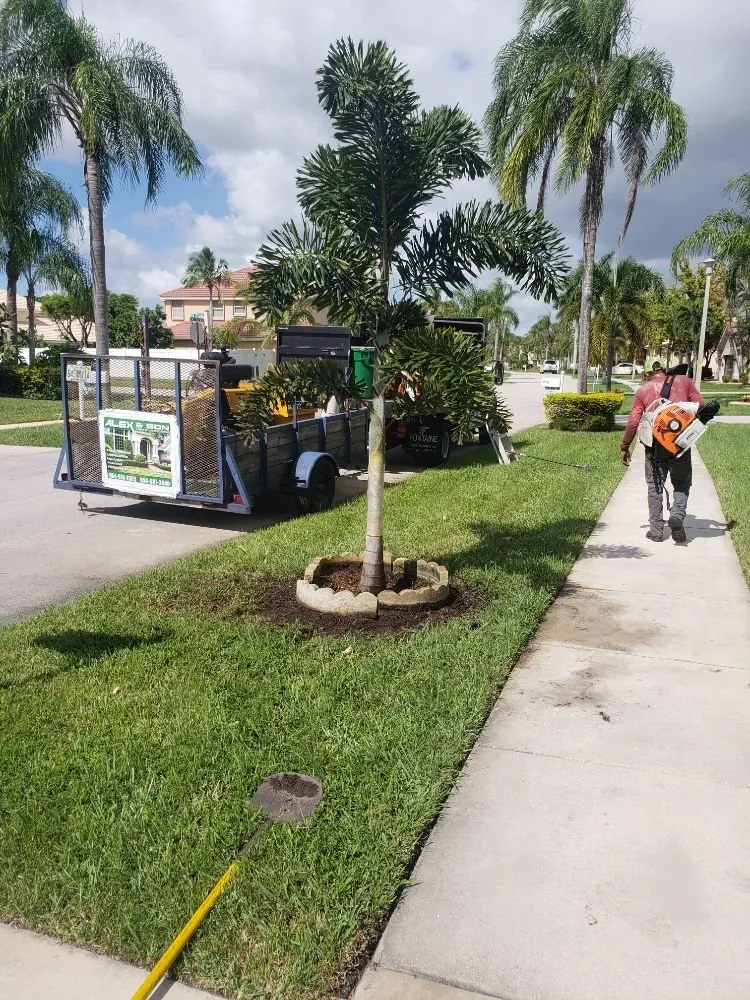 Reliable garden landscaping experts serving Fort Lauderdale, FL - A M Trimming and Removal Service