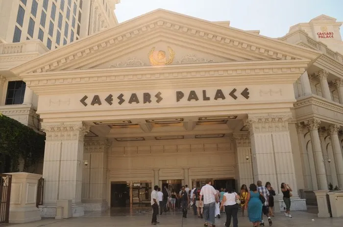 Top-rated lawn care service in Fort Lauderdale, FL by A M Trimming and Removal Service