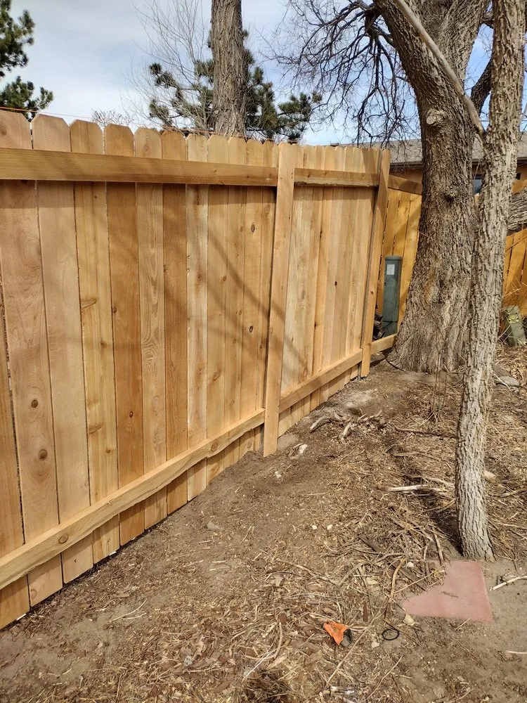 Local yard maintenance in Colorado Springs, CO by A-Maes-Ing Service