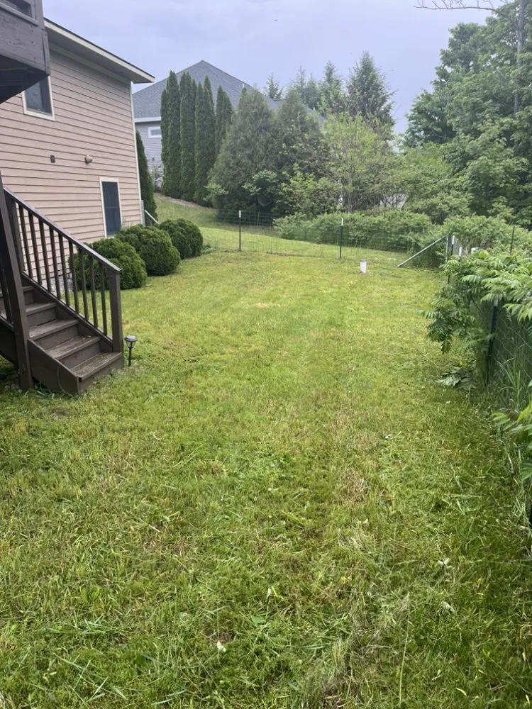 Reliable yard maintenance experts serving Cadillac, MI - A+ Maintenance and Moving