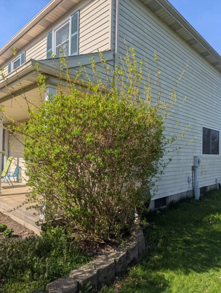 Top-rated outdoor landscaping for year-round maintenance in Medina, OH by A Man And His Explorer