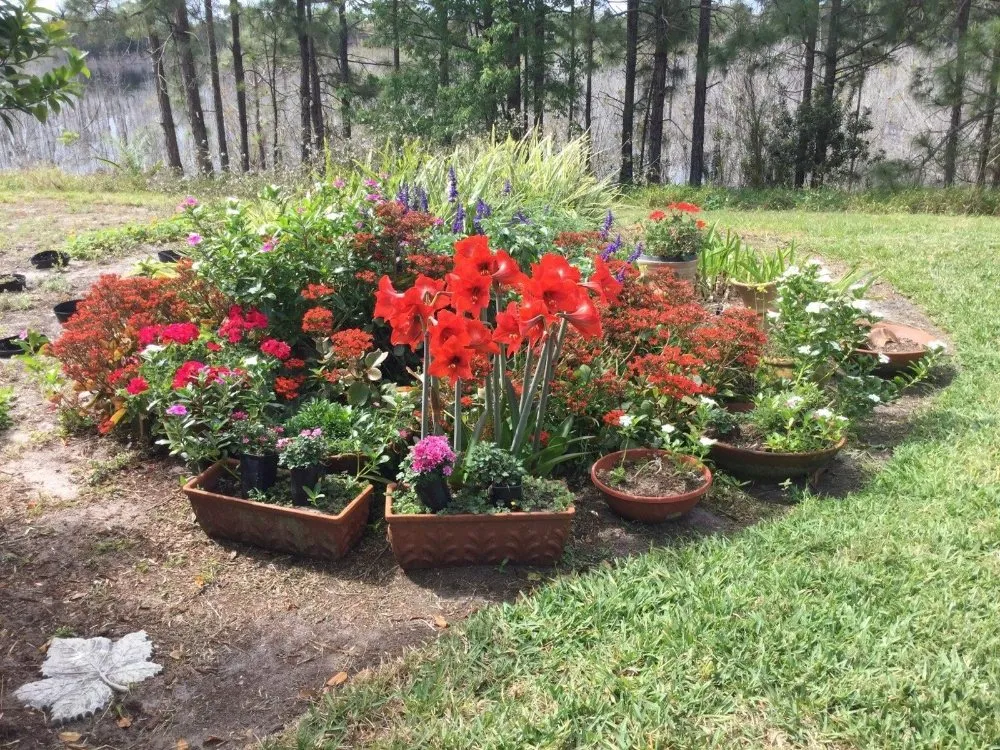 Professional landscape design in Deltona, FL by A Man Da's It Better