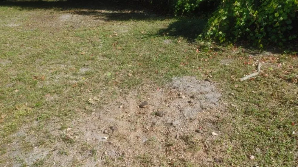 Expert lawn care service in Deltona, FL by A Man Da's It Better
