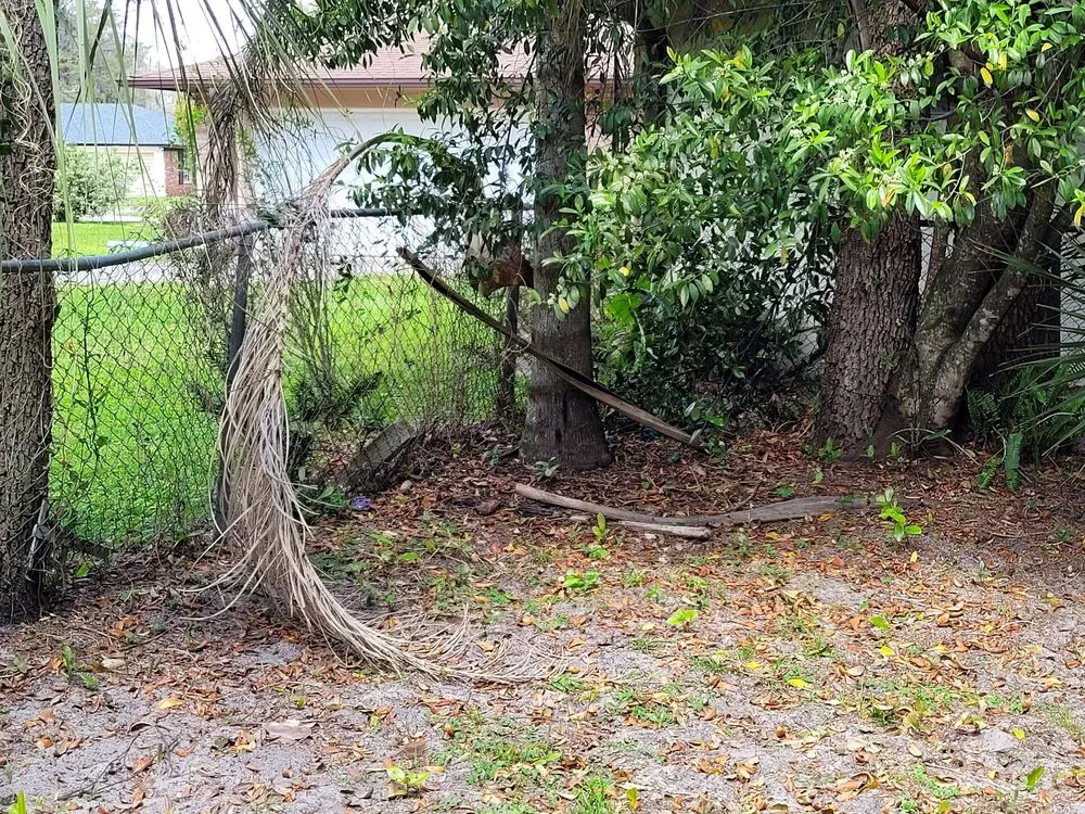 Reliable residential landscaping in Fern Park, FL by A Manicured Lawn