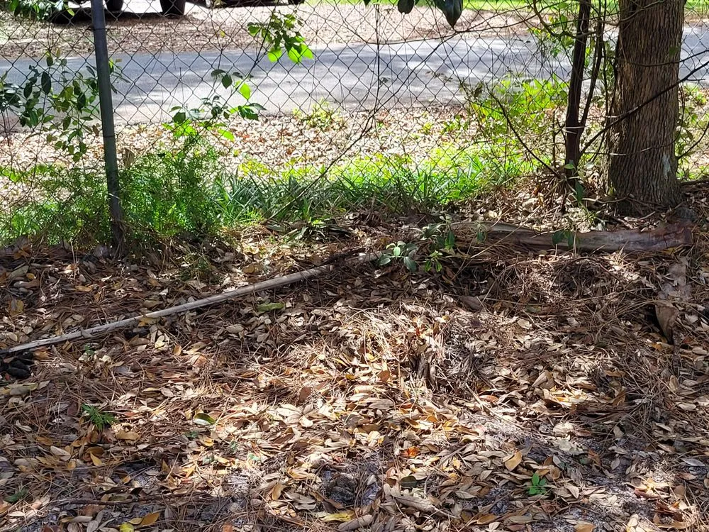 Professional landscaping services near you across Fern Park, FL - A Manicured Lawn