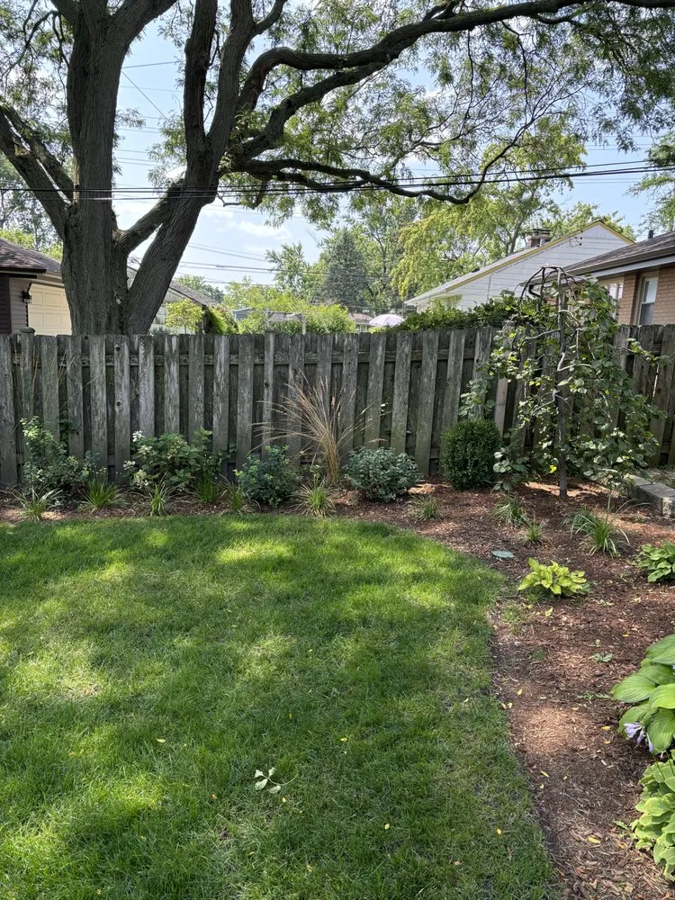 Top-rated yard maintenance in Chicago, IL by A Martinez Landscaping