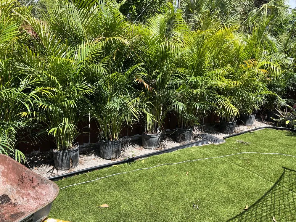 Custom landscaping services for residential properties in Boynton Beach, FL by A Martinez Lawn Care & Landscaping Services