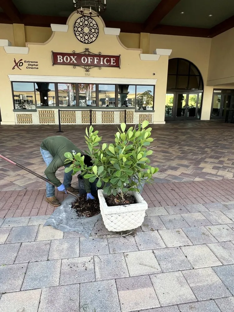 Expert residential landscaping experts serving Boynton Beach, FL - A Martinez Lawn Care & Landscaping Services