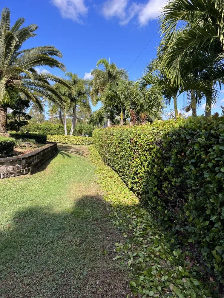 Top-rated yard maintenance experts serving Boynton Beach, FL - A Martinez Lawn Care & Landscaping Services