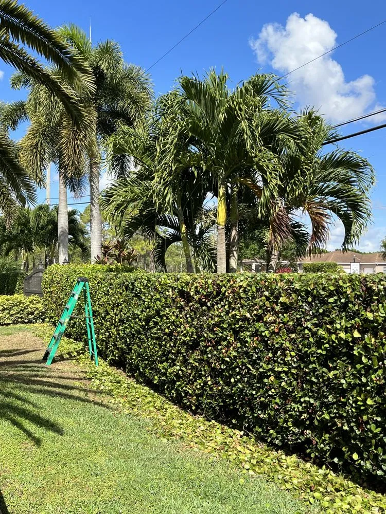 Custom landscape design in Boynton Beach, FL - A Martinez Lawn Care & Landscaping Services