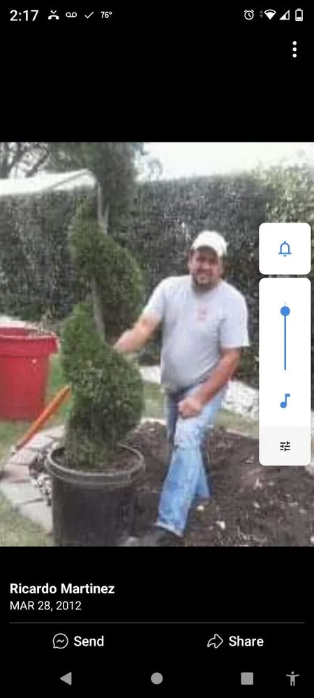 Affordable outdoor landscaping for year-round maintenance in Tampa Bay, FL by A Martinez Services