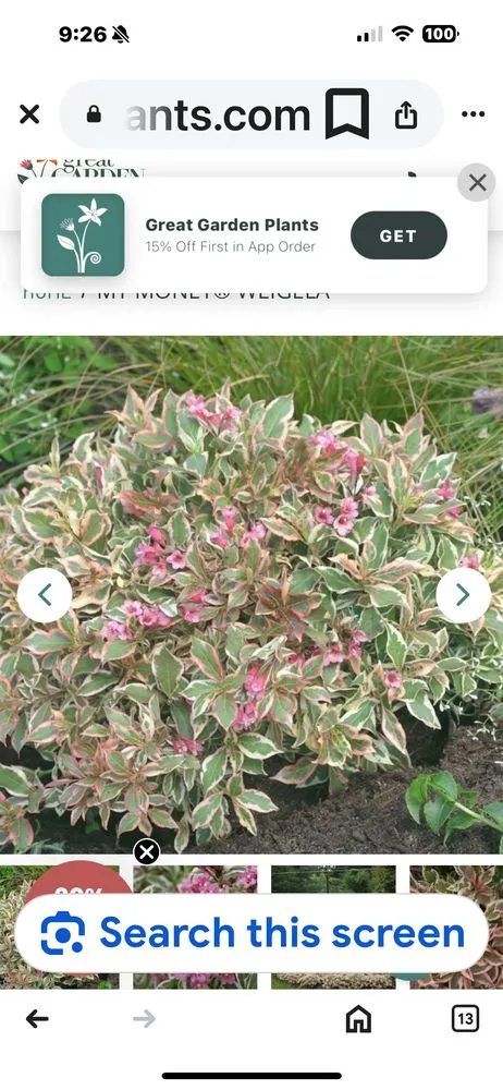 Expert landscape installation with custom design across Omaha, NE - A Masterpiece Design