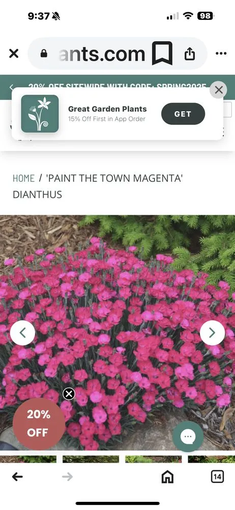 Affordable yard cleanup service in Omaha, NE by A Masterpiece Design