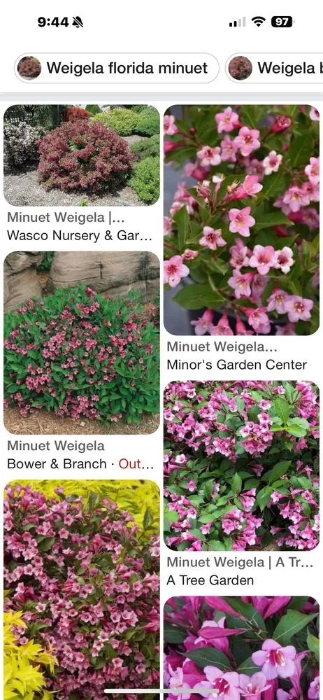 Custom outdoor landscaping in Omaha, NE by A Masterpiece Design