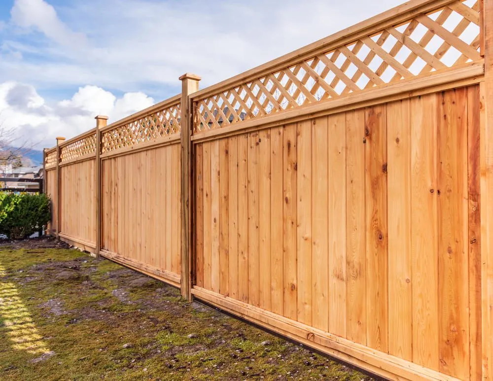 Expert yard cleanup service for year-round maintenance in Bethlehem, PA by A Masterpiece Fence Company