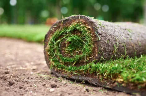 Local lawn mowing service near you in Kansas City, MO by A Mazen Enterprise