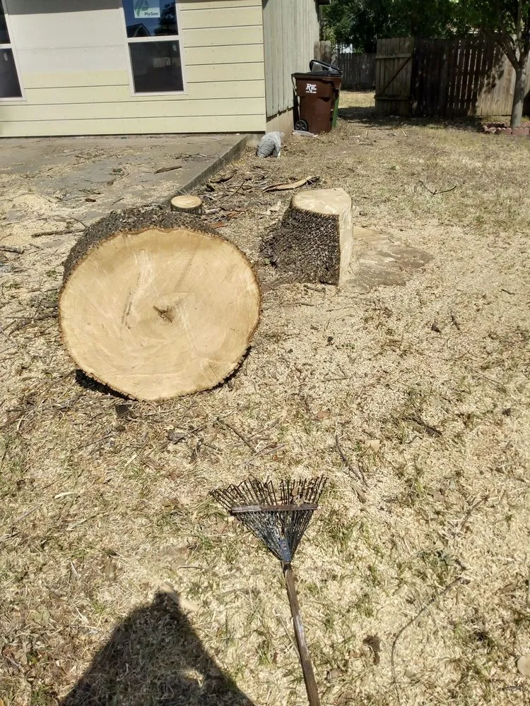 Professional yard maintenance for homes in Austin, TX by A McBride's Tree Service