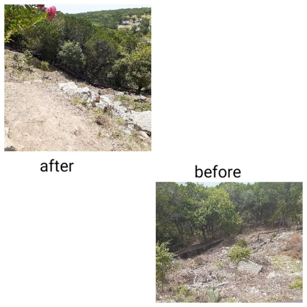 Professional yard cleanup service for homes in Austin, TX by A McBride's Tree Service