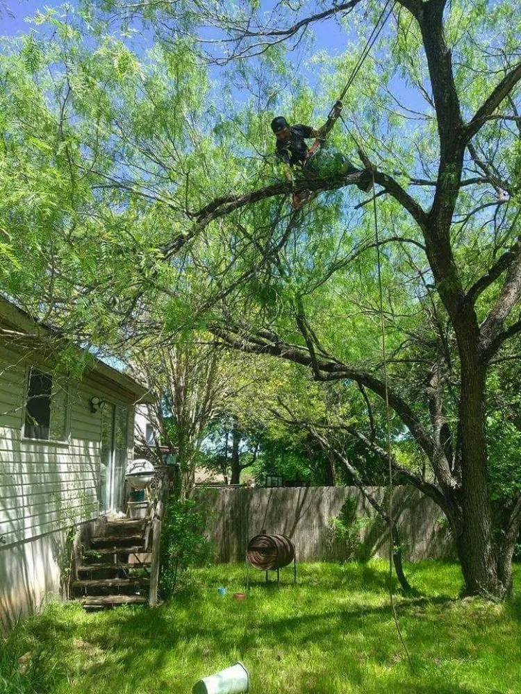 Local lawn mowing service for year-round maintenance in Austin, TX by A McBride's Tree Service