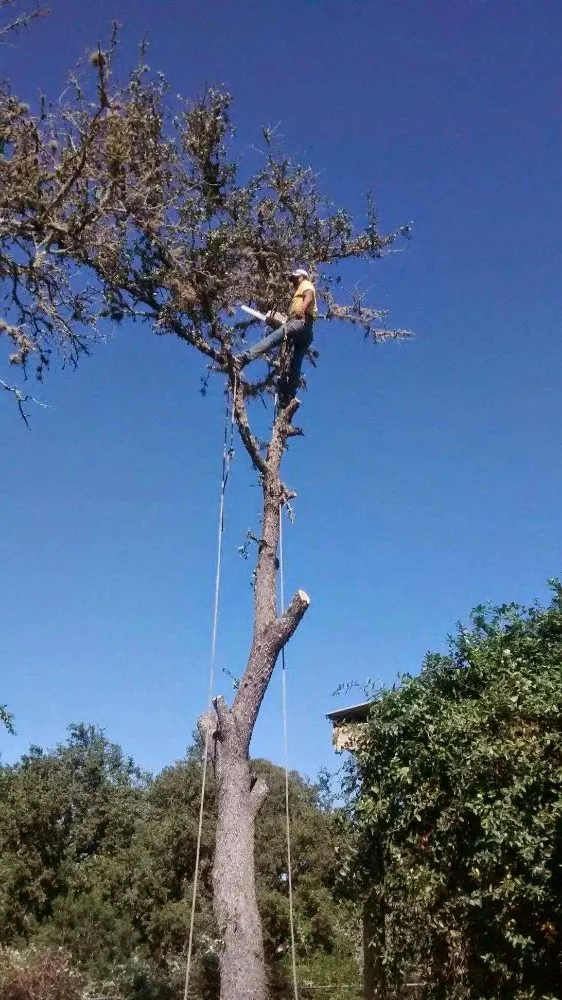 Affordable garden landscaping experts serving Austin, TX - A McBride's Tree Service