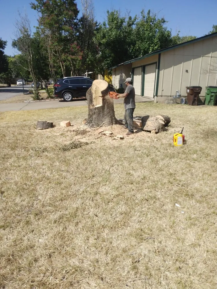 Professional residential landscaping in Austin, TX by A McBride's Tree Service
