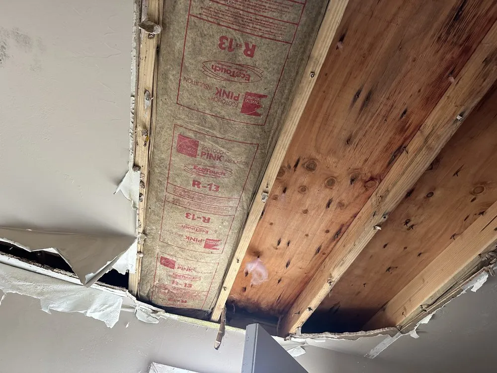 Local landscape design for year-round maintenance across Alameda, CA - A McGuo Solutions