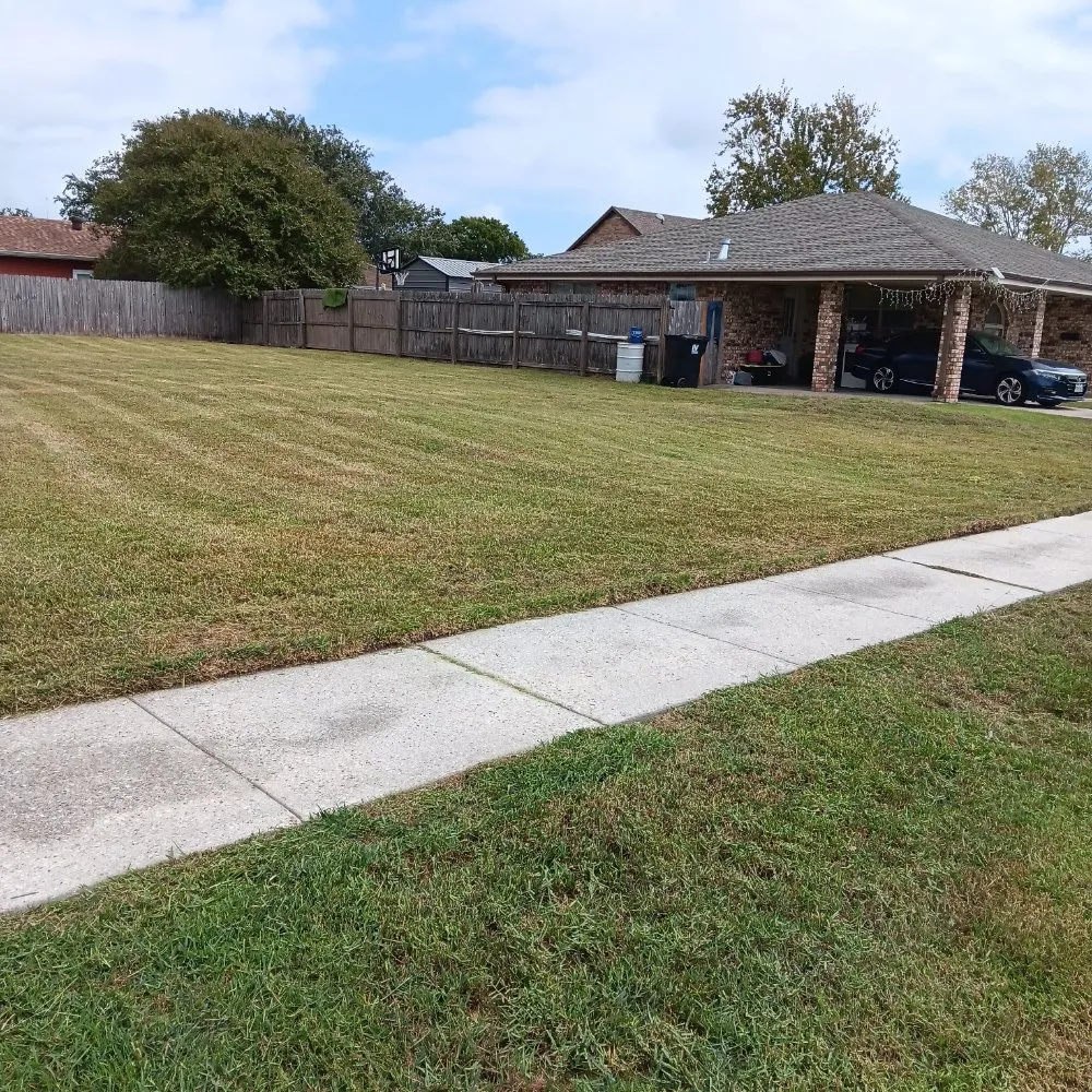 Professional landscaping services for beautiful yards across New Orleans, LA - A-Miracle Lawn Care Services
